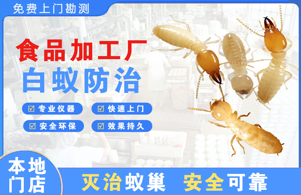 兴化食品加工厂白蚁防治